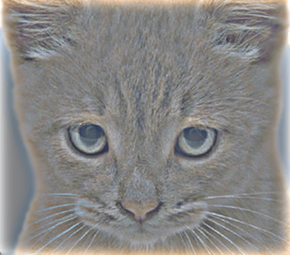 Image3: /projects/sub/computer-vision-lab/images/04.png