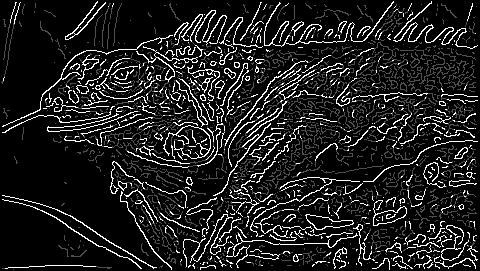 Image8: /projects/sub/computer-vision-lab/images/10.png