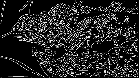 Image9: /projects/sub/computer-vision-lab/images/11.png