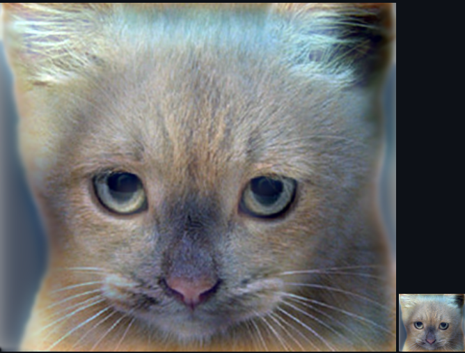 hybrid image