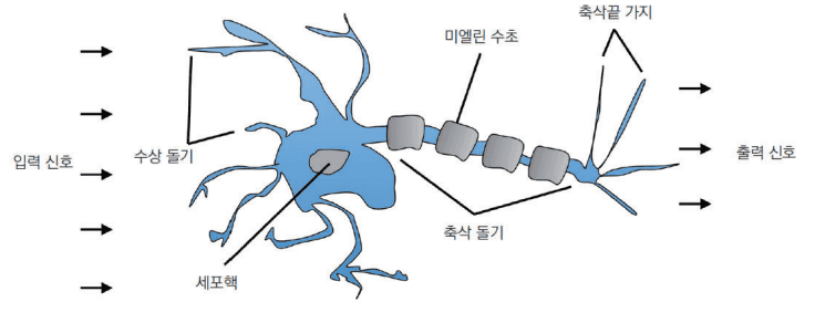 2 번째 이미지